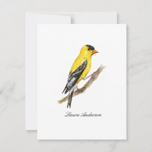 Carte postale plate American gold finch