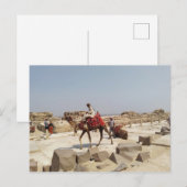 Carte Postale Plateau de Gizeh près des pyramides (Devant / Derrière)