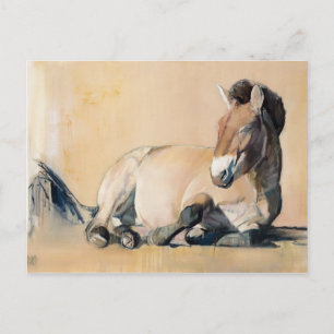 Carte Postale Plateau Sun