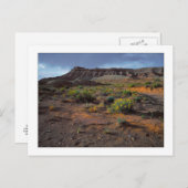 Carte Postale "Plateau Sundowner" (Devant / Derrière)