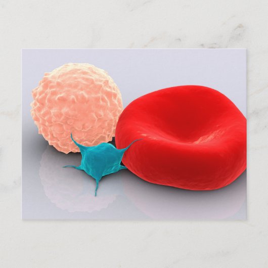 Carte Postale Platelet, Cellules De Sang Rouge Et Blanc (Devant)