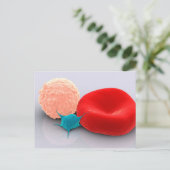 Carte Postale Platelet, Cellules De Sang Rouge Et Blanc (Debout devant)