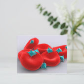 Carte Postale Platelets Avec Cellules De Sang Rouge 1 (Debout devant)