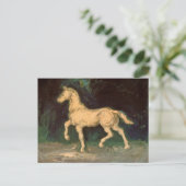 Carte Postale Plâtre Statuette du Cheval, Van Gogh Art (Debout devant)