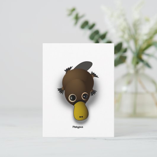 Carte Postale platypus (Debout devant)