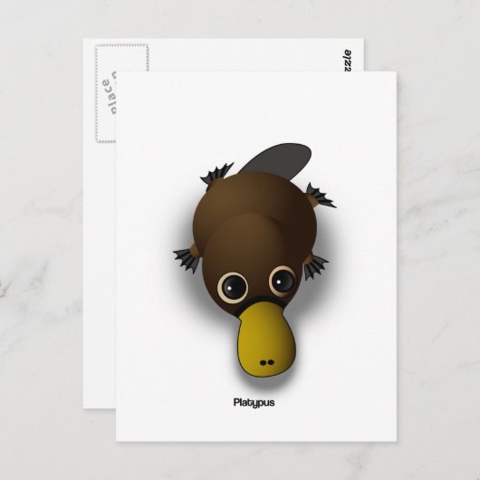 Carte Postale platypus (Devant / Derrière)