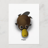 Carte Postale platypus (Devant)