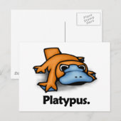 Carte Postale Platypus Platypus. (Devant / Derrière)
