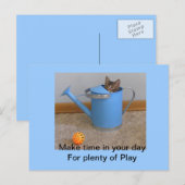 Carte Postale Play kitty Postcard (Devant / Derrière)