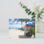 Carte Postale Playa Del Carmen (Debout devant)