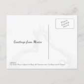 Carte Postale Playa del Carmen Plage de la mer des Caraïbes (Dos)