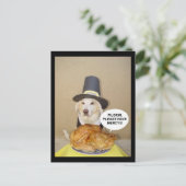 CARTE POSTALE PLEADING TURKEY (Debout devant)