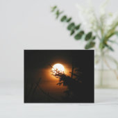 Carte postale Pleine lune (Debout devant)