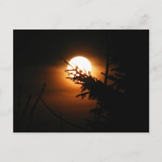 Carte postale Pleine lune (Devant)