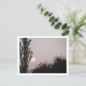 Carte Postale pleine lune (Debout devant)