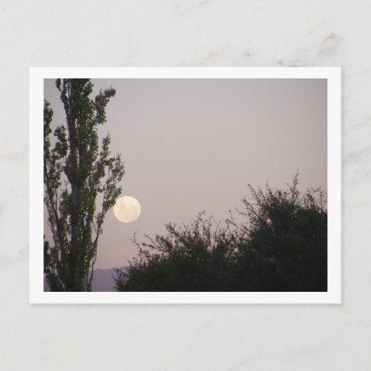 Carte Postale pleine lune (Devant)