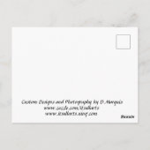 CARTE POSTALE PLEINE LUNE (Dos)