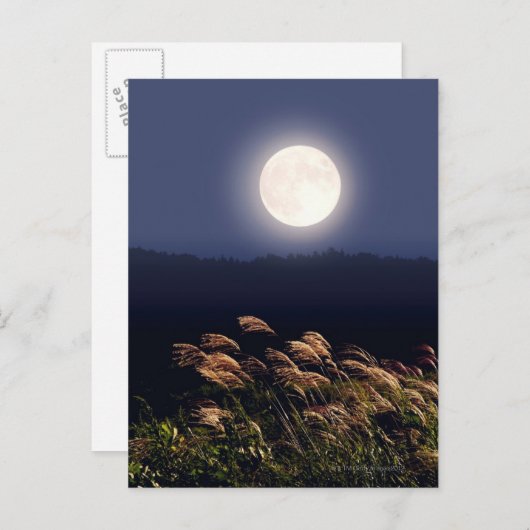 CARTE POSTALE PLEINE LUNE 2 (Devant / Derrière)