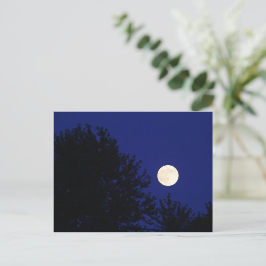 Carte Postale Pleine lune avec arbres et ciel bleu (Debout devant)