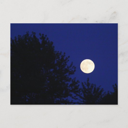 Carte Postale Pleine lune avec arbres et ciel bleu (Devant)