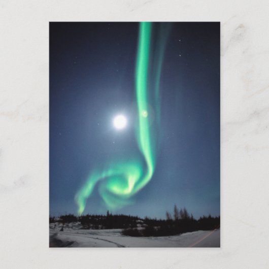 Carte Postale Pleine lune Avec Aurora | Yellowknife Canada (Devant)
