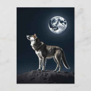 Carte Postale Pleine lune brillant sur le blanc du loup