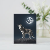 Carte Postale Pleine lune brillant sur le blanc du loup (Debout devant)
