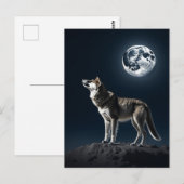 Carte Postale Pleine lune brillant sur le blanc du loup (Devant / Derrière)