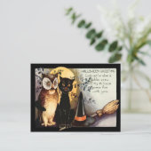 Carte Postale Pleine lune Chat noir Chat Chouette  Casquette de  (Debout devant)