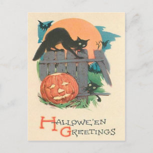 Carte Postale Pleine lune de chat noir Jack O' Lantern