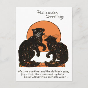 Carte Postale Pleine lune de chat noir orange noir