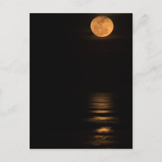 Carte Postale pleine lune d'or au-dessus d'océan