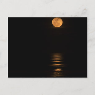 Carte Postale pleine lune dorée sur l'océan