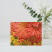 Carte postale Pleine lune Feuilles (Debout devant)
