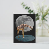 CARTE POSTALE PLEINE LUNE GIRAFFE (Debout devant)