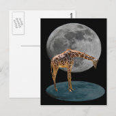 CARTE POSTALE PLEINE LUNE GIRAFFE (Devant / Derrière)