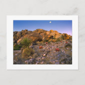 Carte Postale " Pleine Lune Se Couchant Sur L'Anneau De Feu" (Devant)