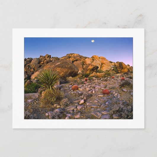 Carte Postale " Pleine Lune Se Couchant Sur L'Anneau De Feu" (Devant)