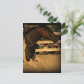 Carte Postale Pleine vitesse vers l'avant (Debout devant)