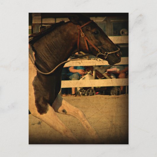 Carte Postale Pleine vitesse vers l'avant (Devant)