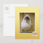 Carte Postale Pleine vitesse vers l'avant (Devant / Derrière)