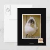 Carte Postale Pleine vitesse vers l'avant (Devant / Derrière)