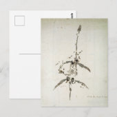 Carte Postale Plesiosaurus dolichodeirus (Devant / Derrière)