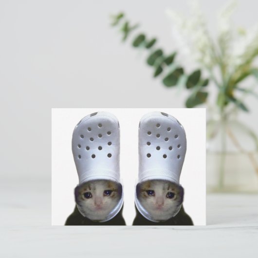 Carte postale Pleure Chat Croc Casquette mème (Debout devant)