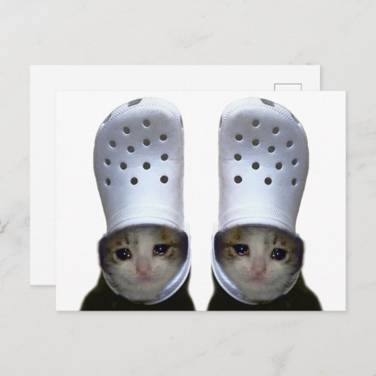 Carte postale Pleure Chat Croc Casquette mème (Devant / Derrière)