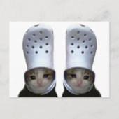 Carte postale Pleure Chat Croc Casquette mème (Devant)