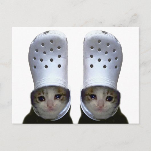 Carte postale Pleure Chat Croc Casquette mème (Devant)