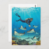 Carte Postale Plongée avec Stingrays (Devant / Derrière)
