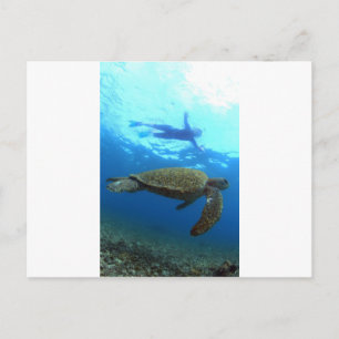 Carte Postale Plongée avec tuba avec tortue de mer Îles Galapago