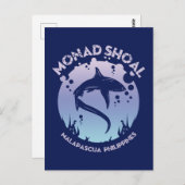 Carte Postale Plongée De Requins À Monad Shoal (Devant / Derrière)